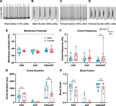 Sex differences in pituitary corticotroph excitability